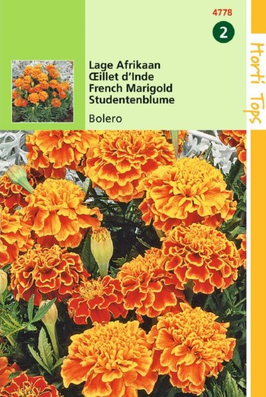 French Marigold Bolero (Tagetes patula) 350 seeds HT